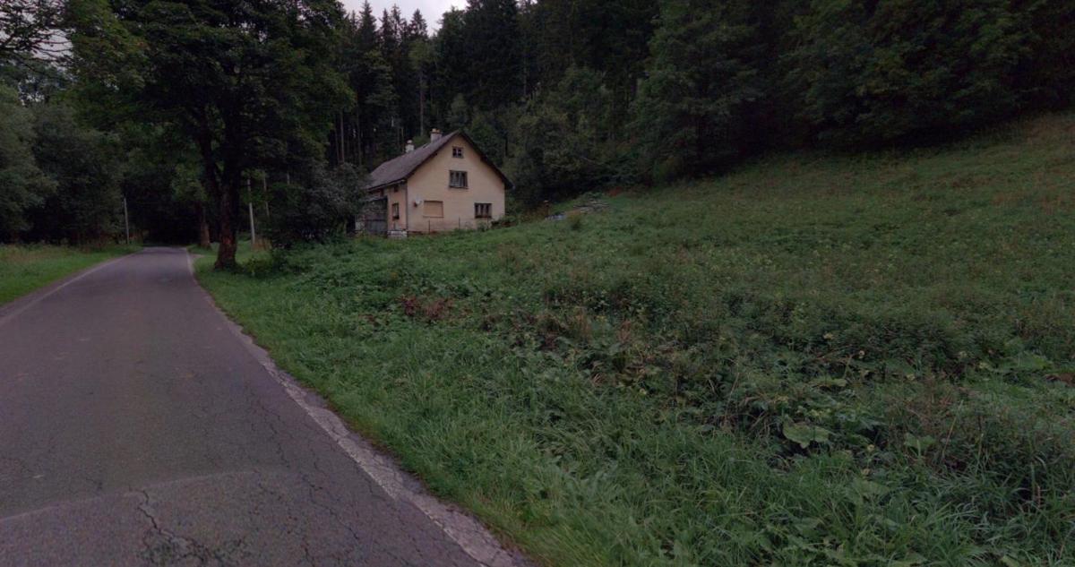 Photo 19/54