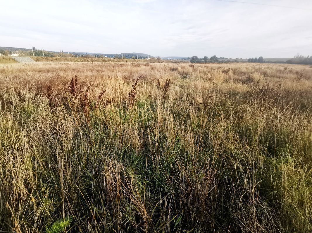 Fotografie 4 - Prodej pozemku · Bydlení · 1 513 m²