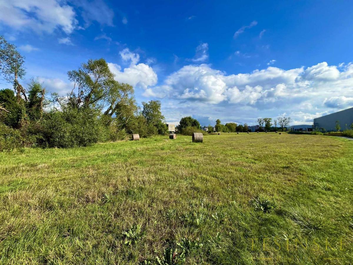 Фото 1 - Продажа участка · Поле · 7 307 m²