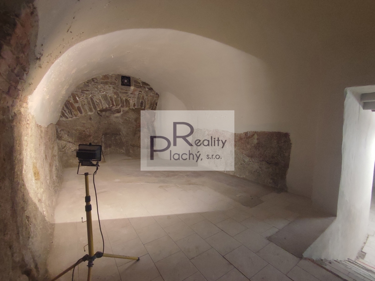 Fotografie 2 - Pronájem komerční nemovitosti · 365 m²