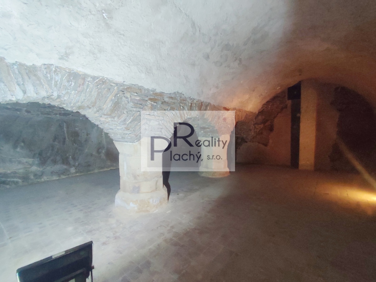 Fotografie 3 - Pronájem komerční nemovitosti · 365 m²