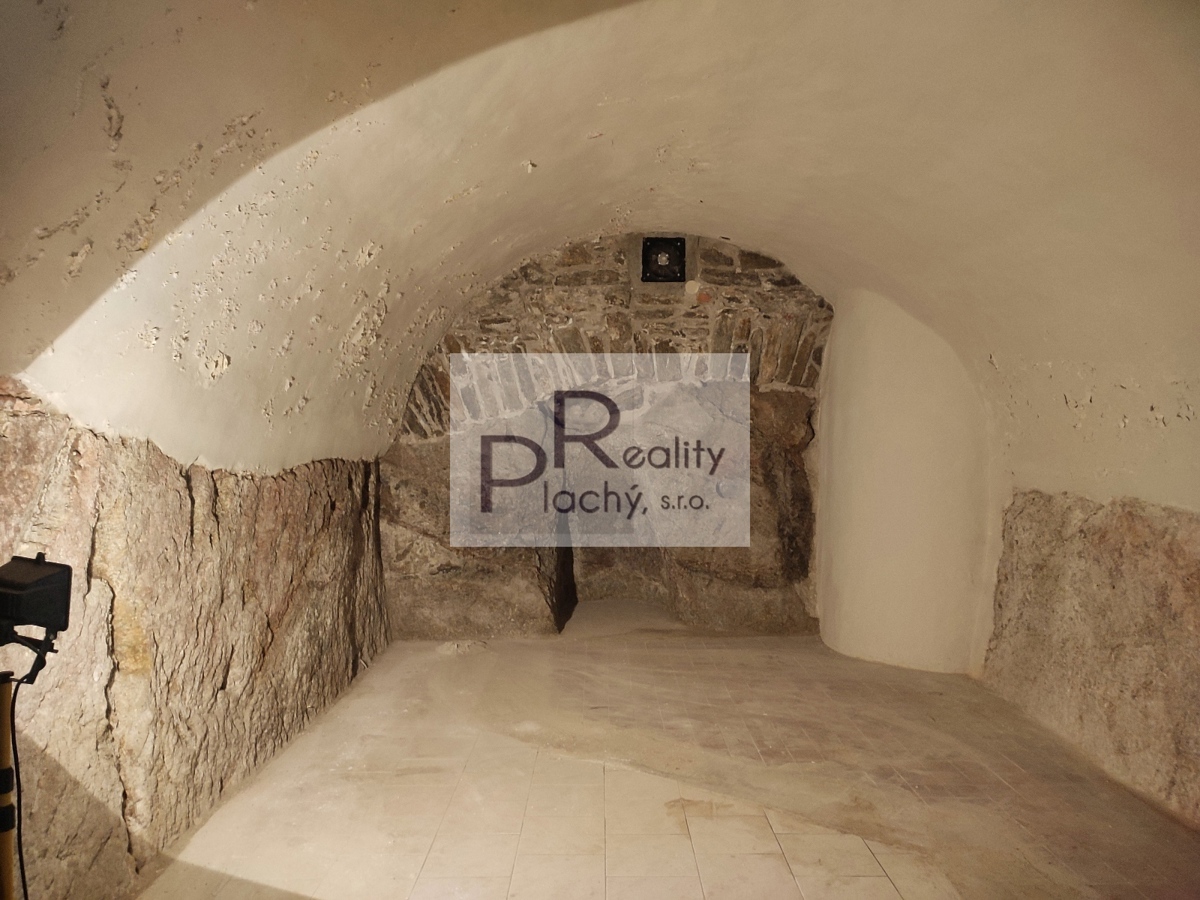 Fotografie 4 - Pronájem komerční nemovitosti · 365 m²