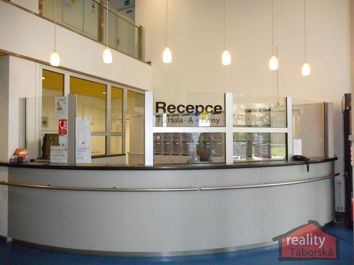 Photo 4 - Commercial property for rent · 262 m²