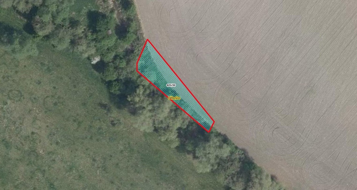 Photo 1 - Land for sale · Field