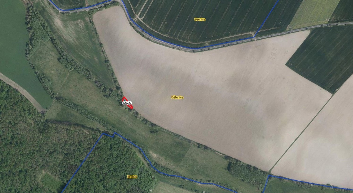 Photo 2 - Land for sale · Field
