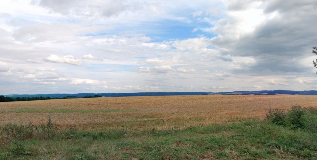 Photo 1 - Land for sale · Field