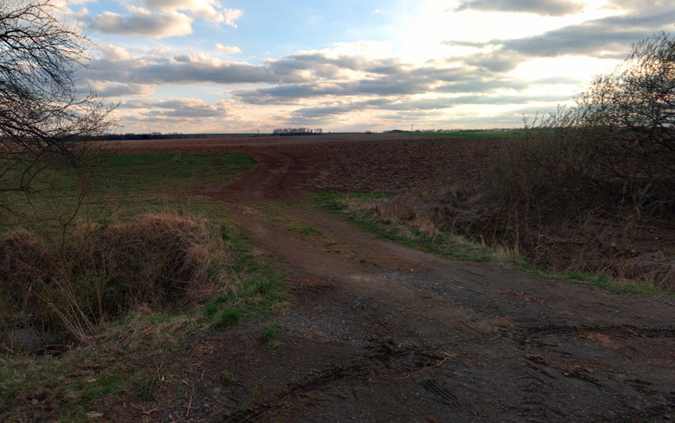 Photo 4 - Land for sale · Field