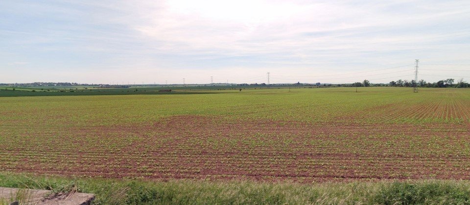 Photo 2 - Land for sale · Field