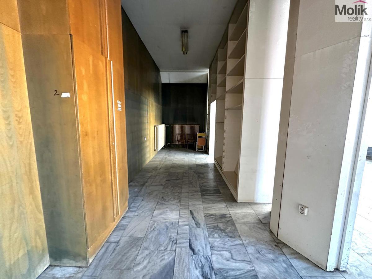 Fotografie 4 - Pronájem komerční nemovitosti · Obchodní prostor · 240 m²