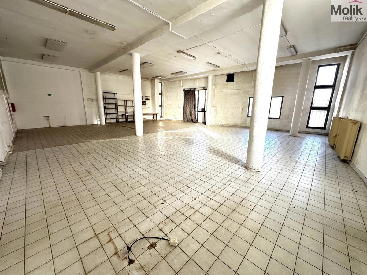 Fotografie 3 - Pronájem komerční nemovitosti · 173 m²