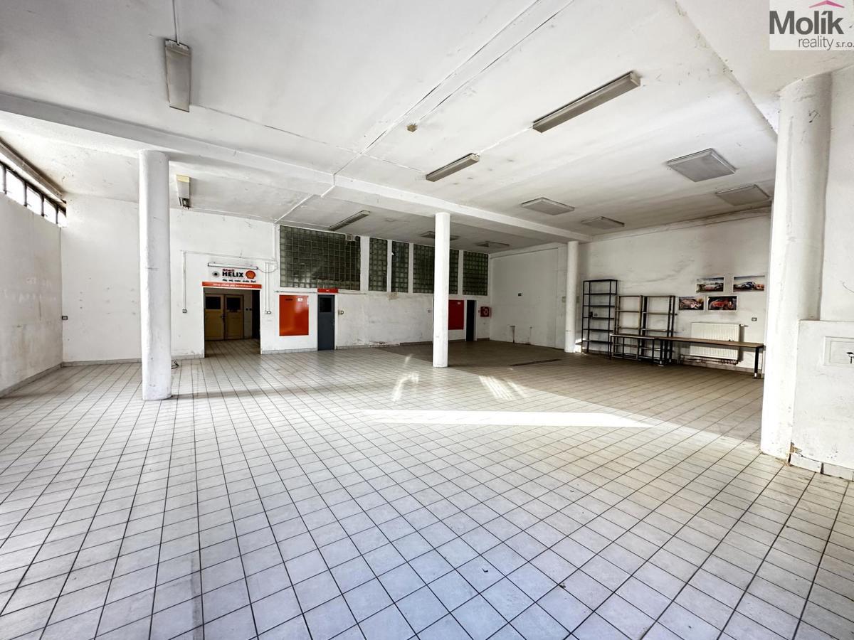 Fotografie 2 - Pronájem komerční nemovitosti · 173 m²