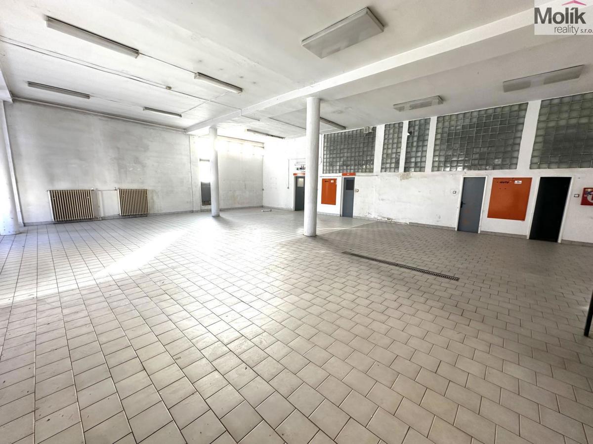 Fotografie 1 - Pronájem komerční nemovitosti · 173 m²