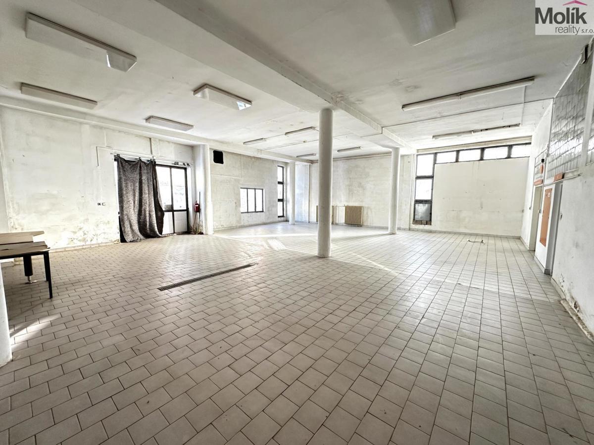 Fotografie 4 - Pronájem komerční nemovitosti · 173 m²