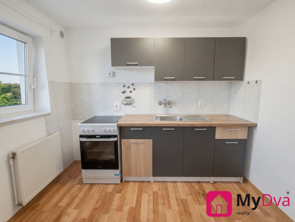 Fotografie 1 - Pronájem bytu · 1+1 · 29 m²