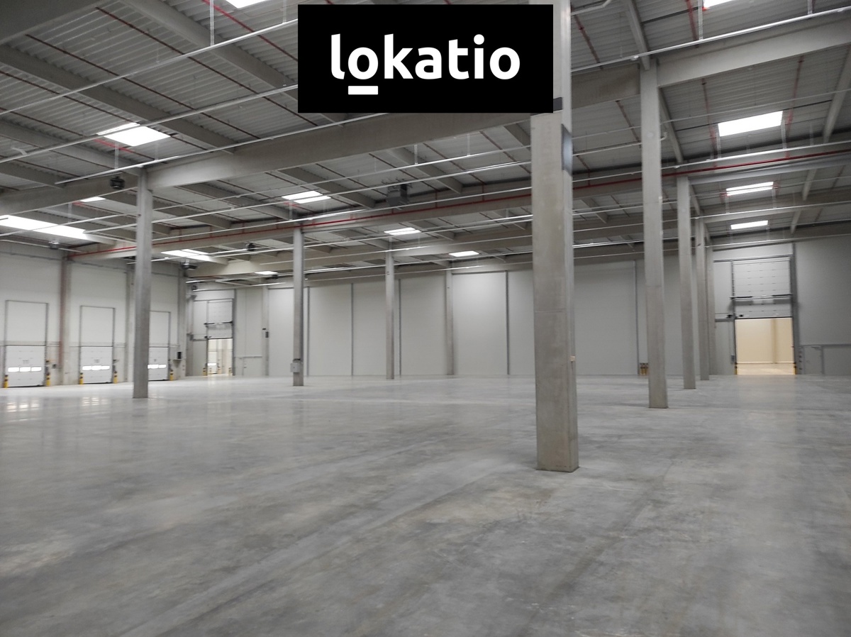 Photo 4 - Commercial property for rent · 1 155 m²