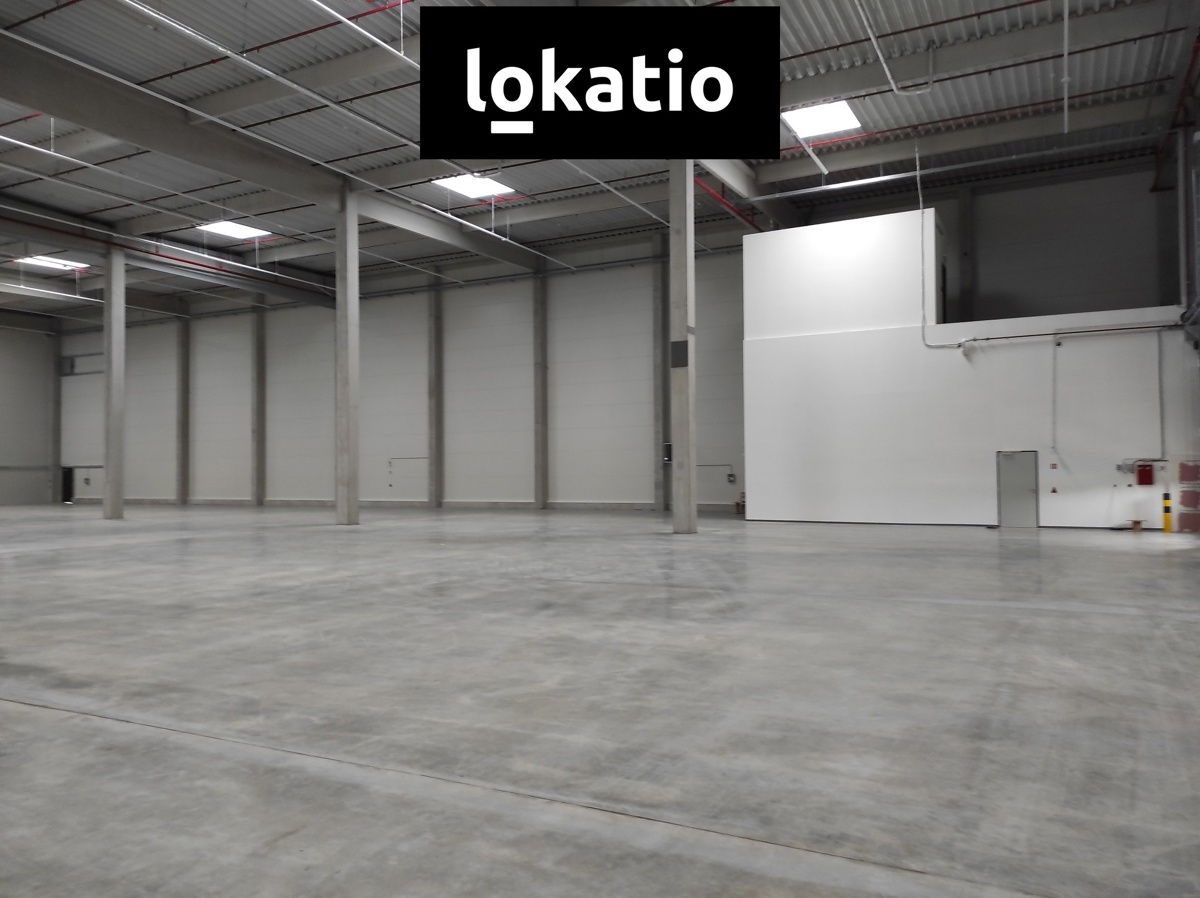 Photo 2 - Commercial property for rent · 1 155 m²
