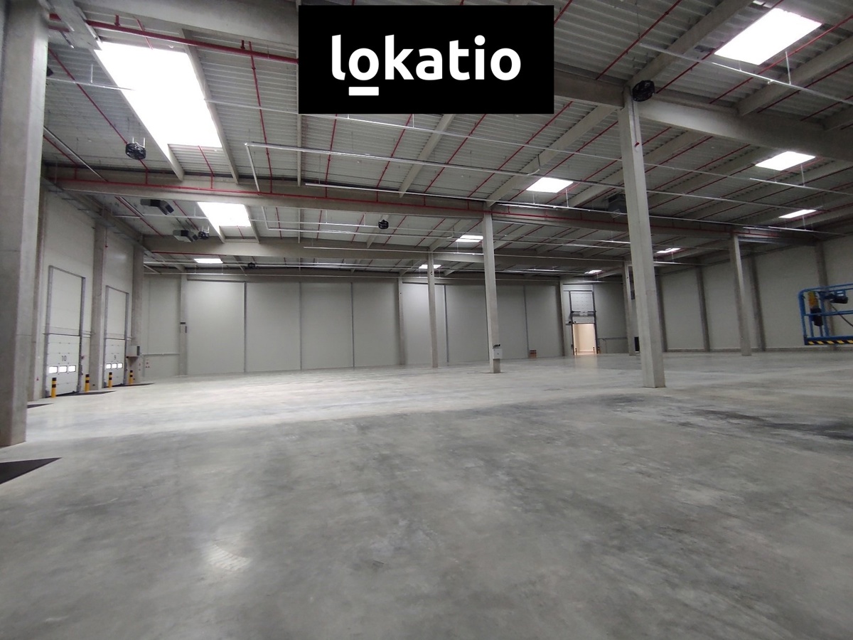 Photo 3 - Commercial property for rent · 1 155 m²