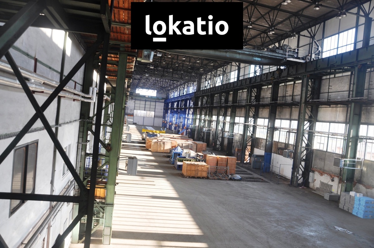Photo 3 - Commercial property for rent · 5 000 m²