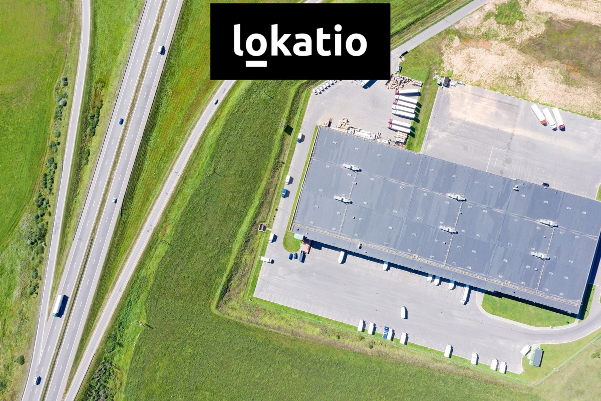 Photo 4 - Commercial property for rent · 3 355 m²