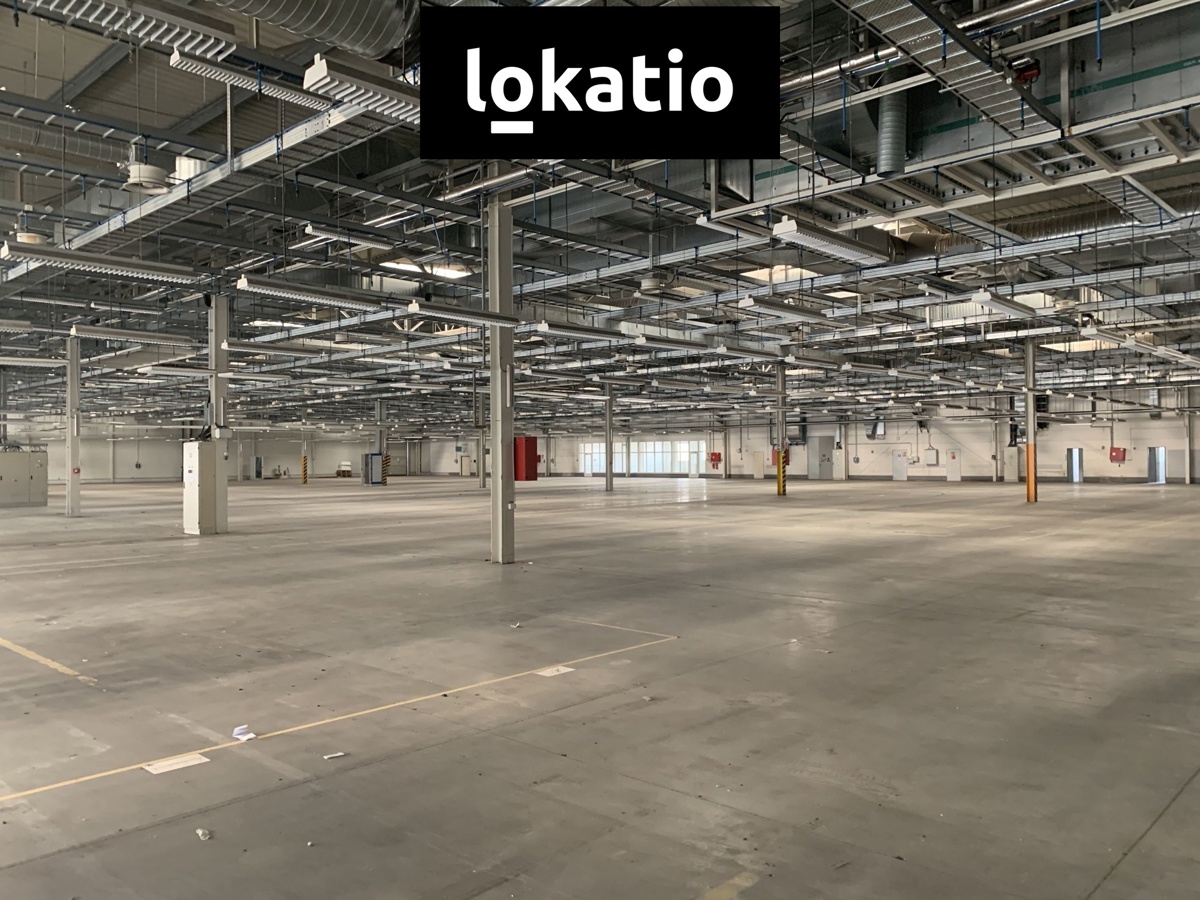 Fotografie 2 - Pronájem komerční nemovitosti · Sklad · 5 000 m²