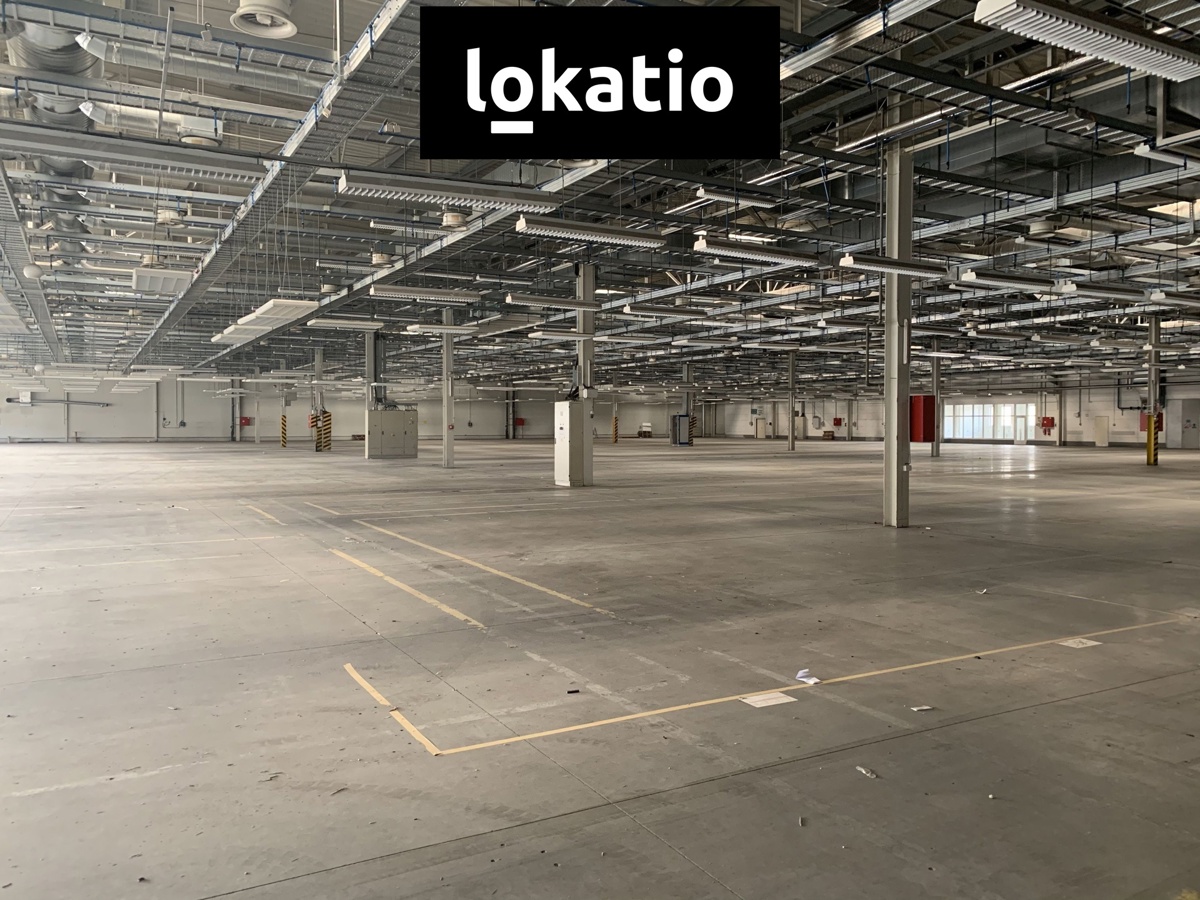 Fotografie 4 - Pronájem komerční nemovitosti · Sklad · 5 000 m²
