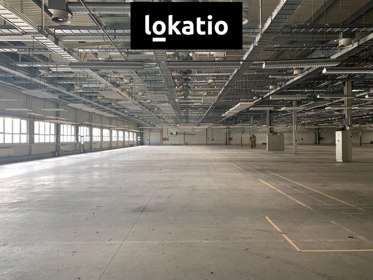 Fotografie 3 - Pronájem komerční nemovitosti · Sklad · 5 000 m²