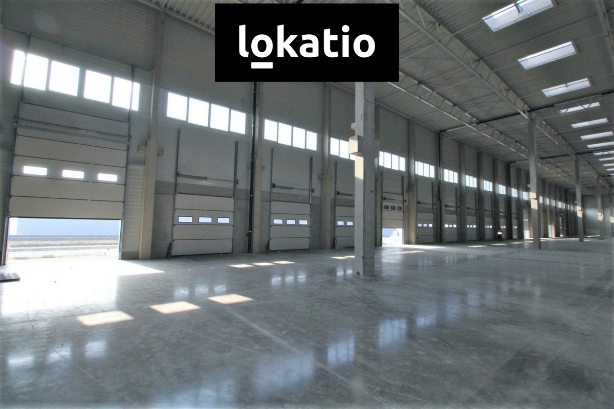 Photo 3 - Commercial property for rent · Warehouse · 4 382 m²