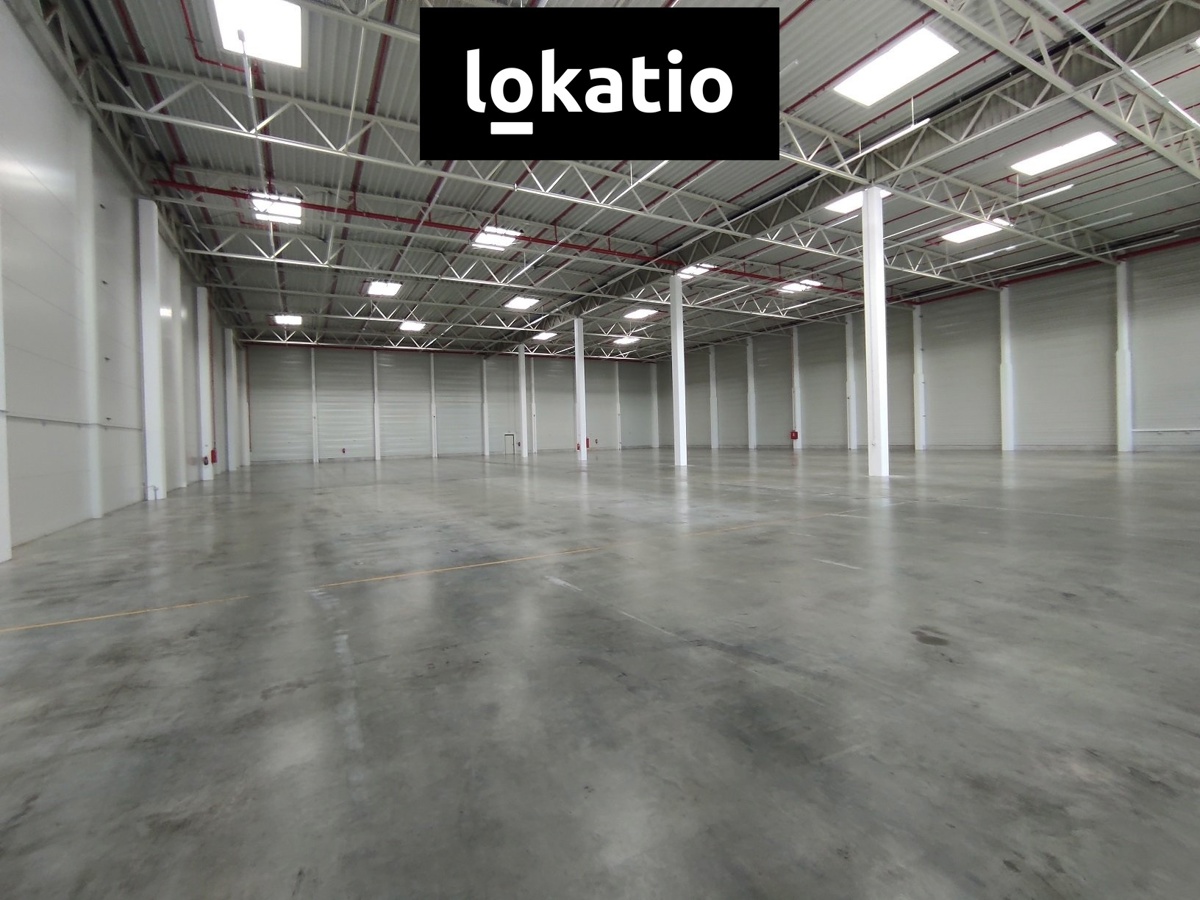 Photo 4 - Commercial property for rent · Warehouse · 2 733 m²