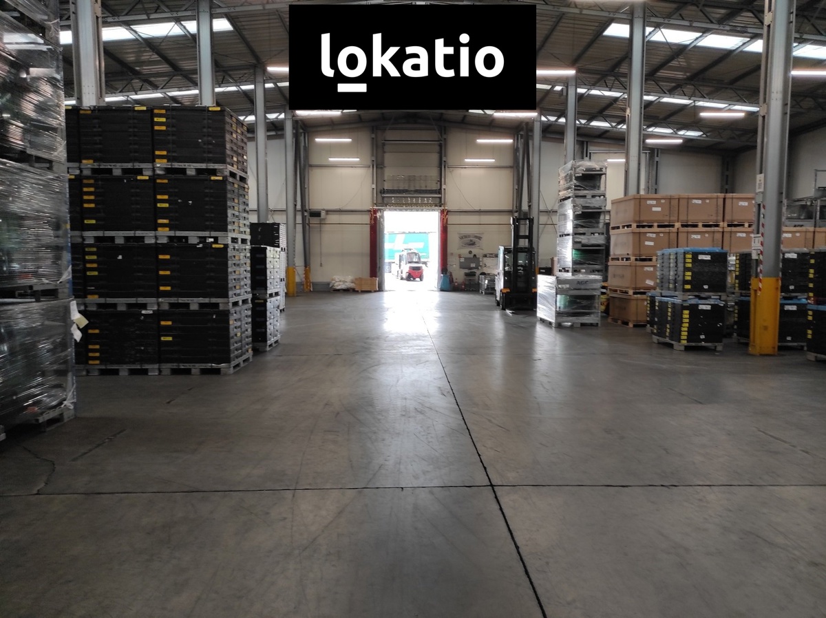 Photo 2 - Commercial property for rent · 2 613 m²