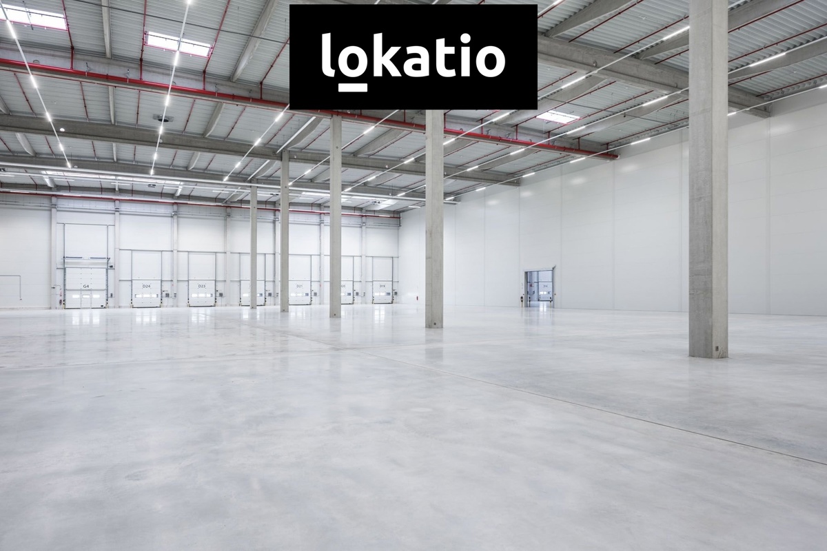 Photo 4 - Commercial property for rent · 3 150 m²