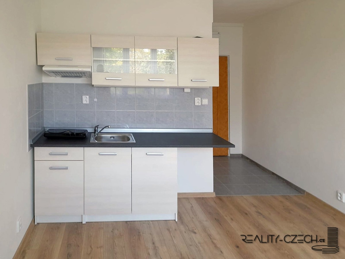 Photo 1 - Apartment for rent · 1+kk · 20 m²