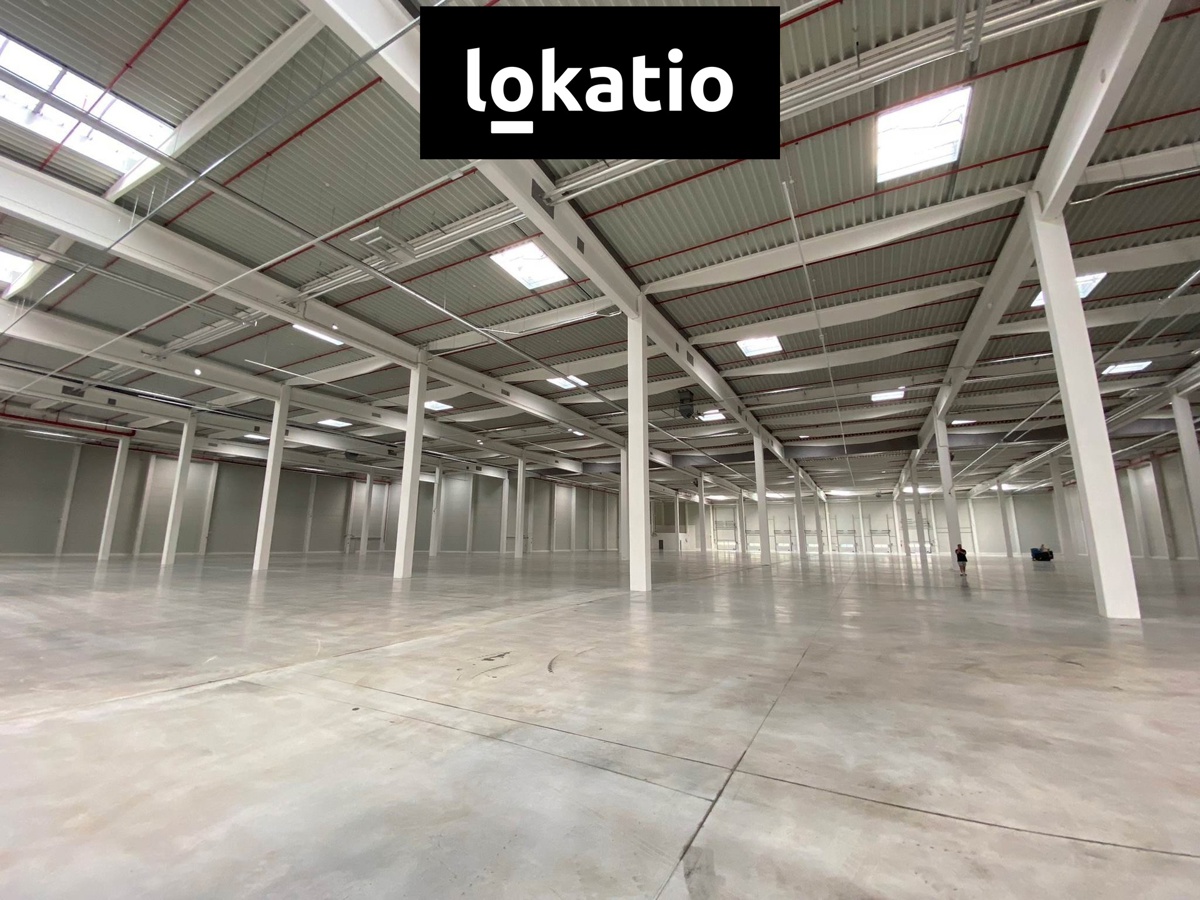 Photo 1 - Commercial property for rent · Warehouse · 3 700 m²