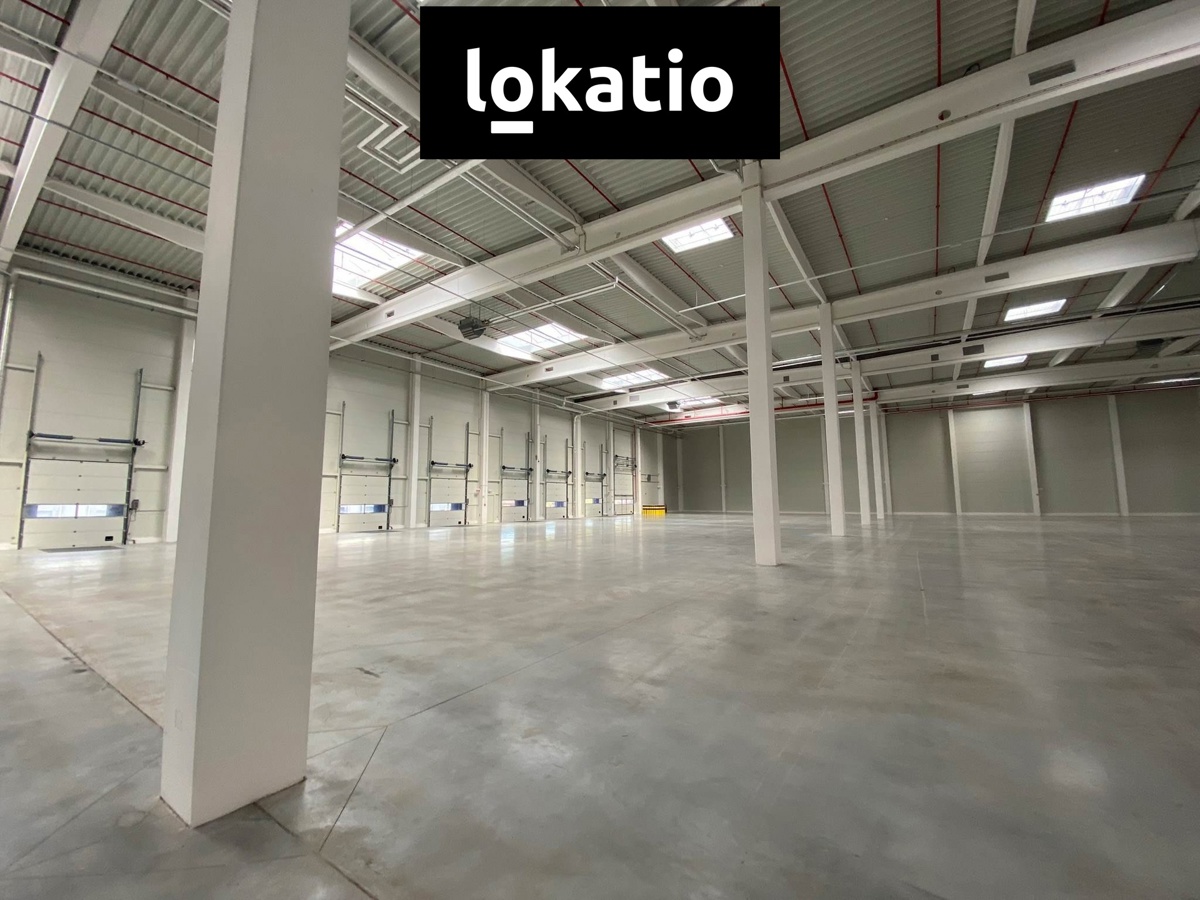 Photo 3 - Commercial property for rent · Warehouse · 3 700 m²