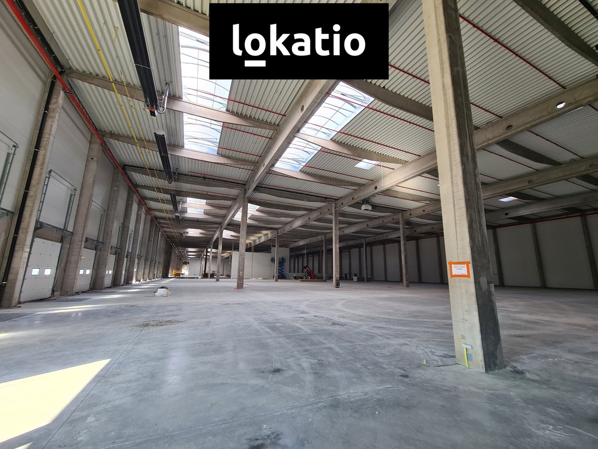 Fotografie 4 - Pronájem komerční nemovitosti · 6 662 m²