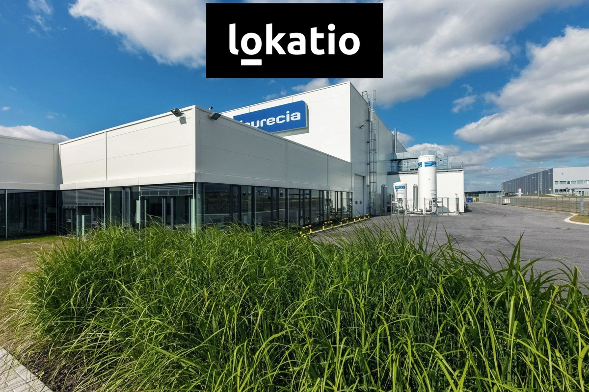 Photo 4 - Commercial property for rent · Warehouse · 2 249 m²