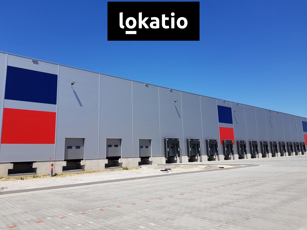 Photo 3 - Commercial property for rent · Warehouse · 10 217 m²