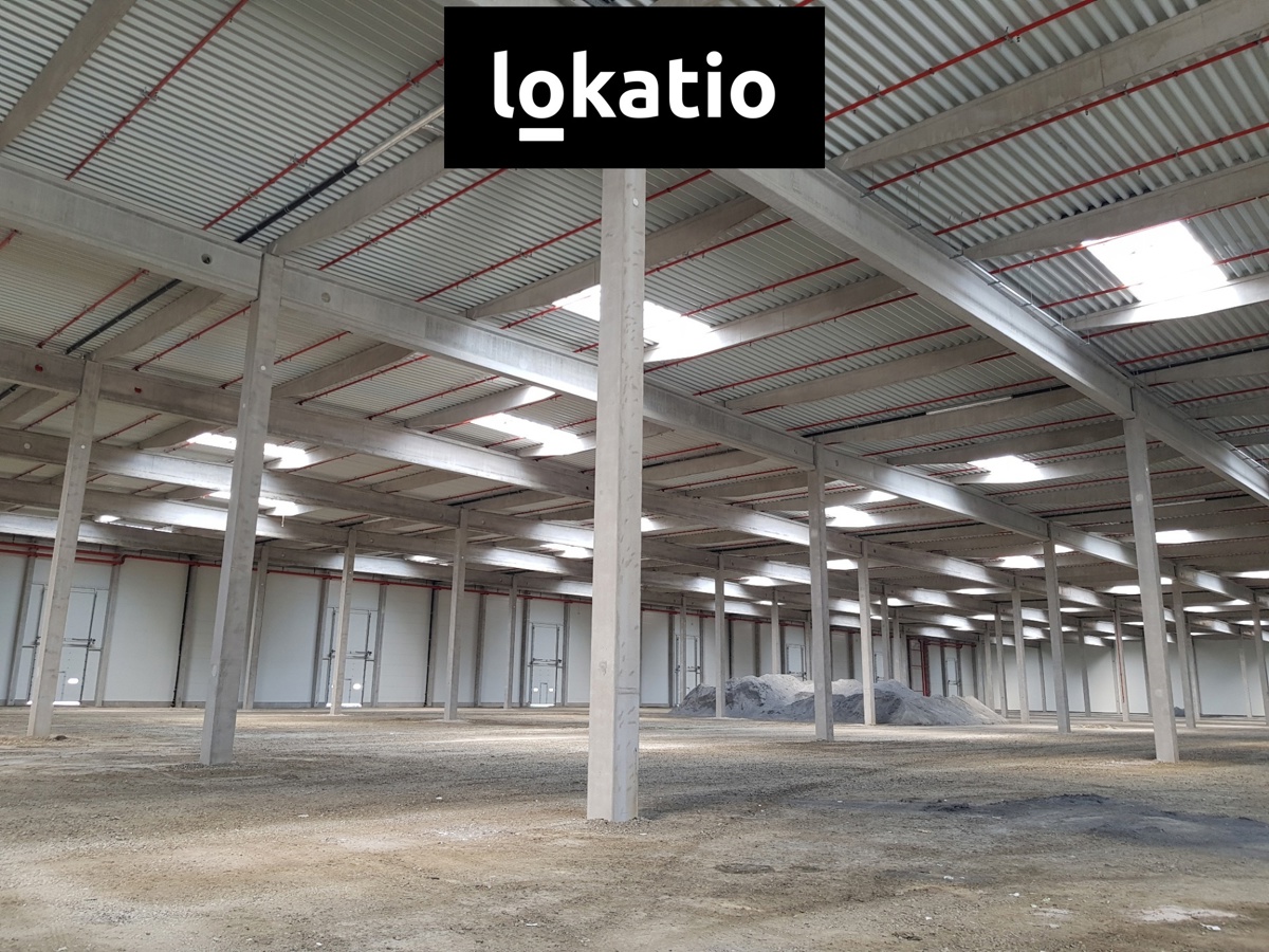 Photo 4 - Commercial property for rent · Warehouse · 10 217 m²