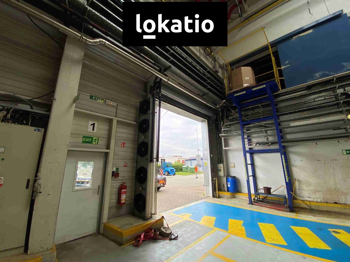 Photo 4 - Commercial property for rent · 3 600 m²