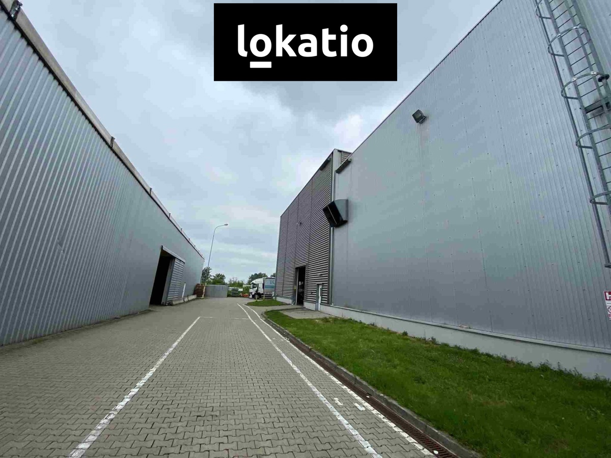 Photo 1 - Commercial property for rent · 7 500 m²