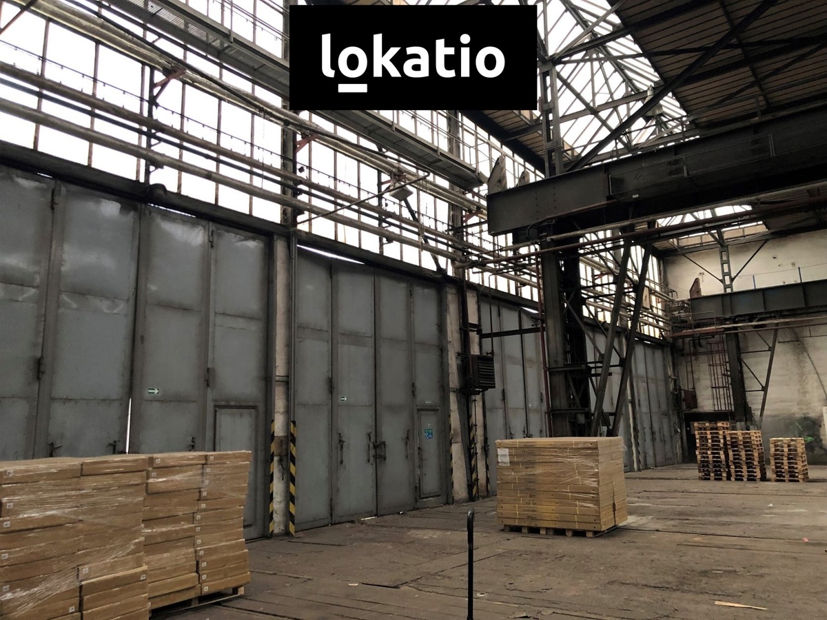 Photo 4 - Commercial property for rent · 5 500 m²