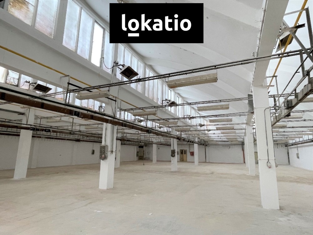 Fotografie 3 - Pronájem komerční nemovitosti · 1 650 m²