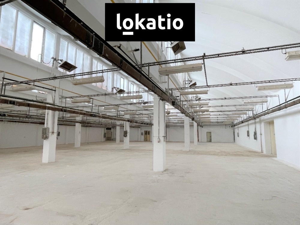 Fotografie 2 - Pronájem komerční nemovitosti · 1 650 m²