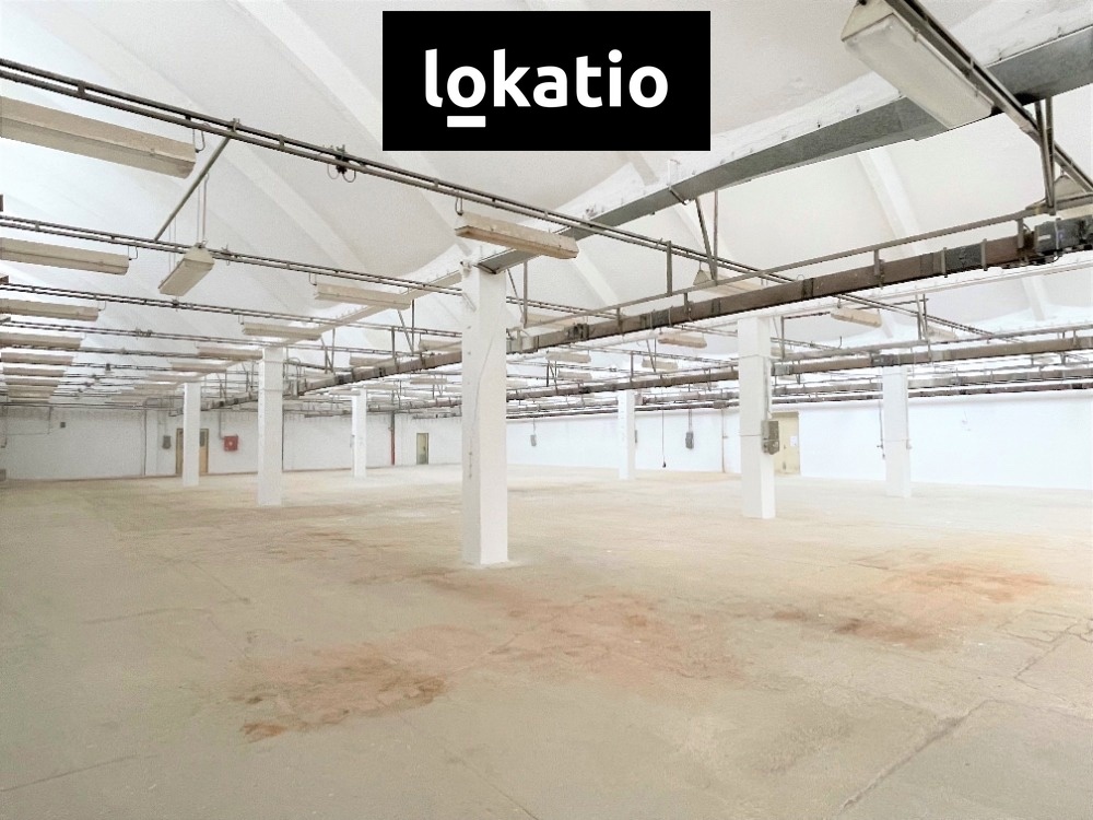 Fotografie 4 - Pronájem komerční nemovitosti · 1 650 m²