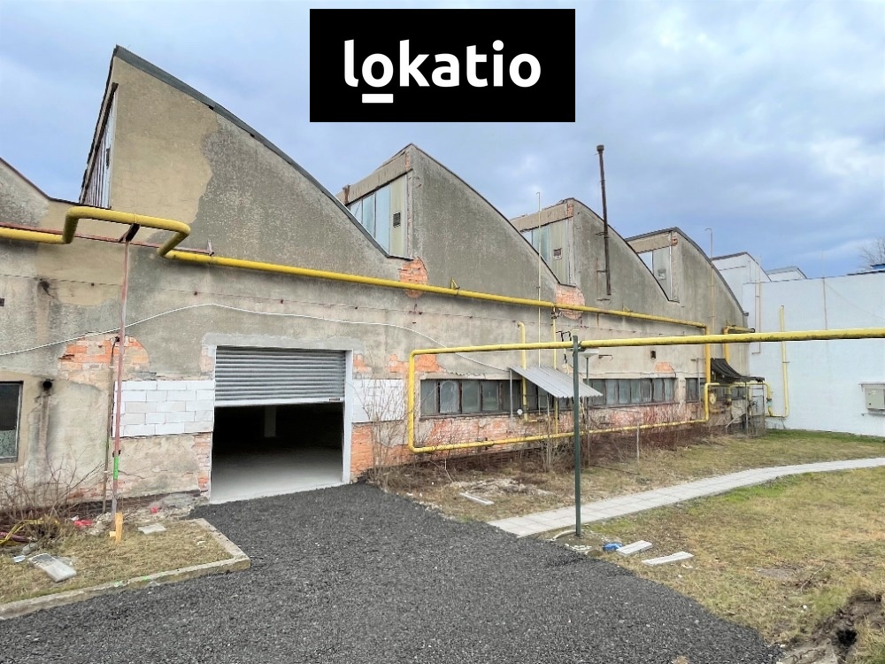 Fotografie 1 - Pronájem komerční nemovitosti · 1 650 m²