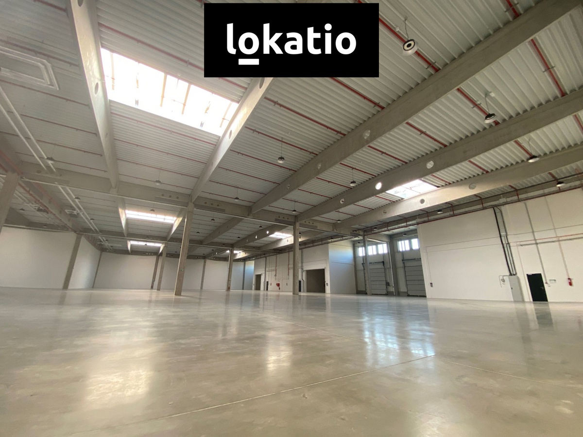 Photo 3 - Commercial property for rent · 1 800 m²