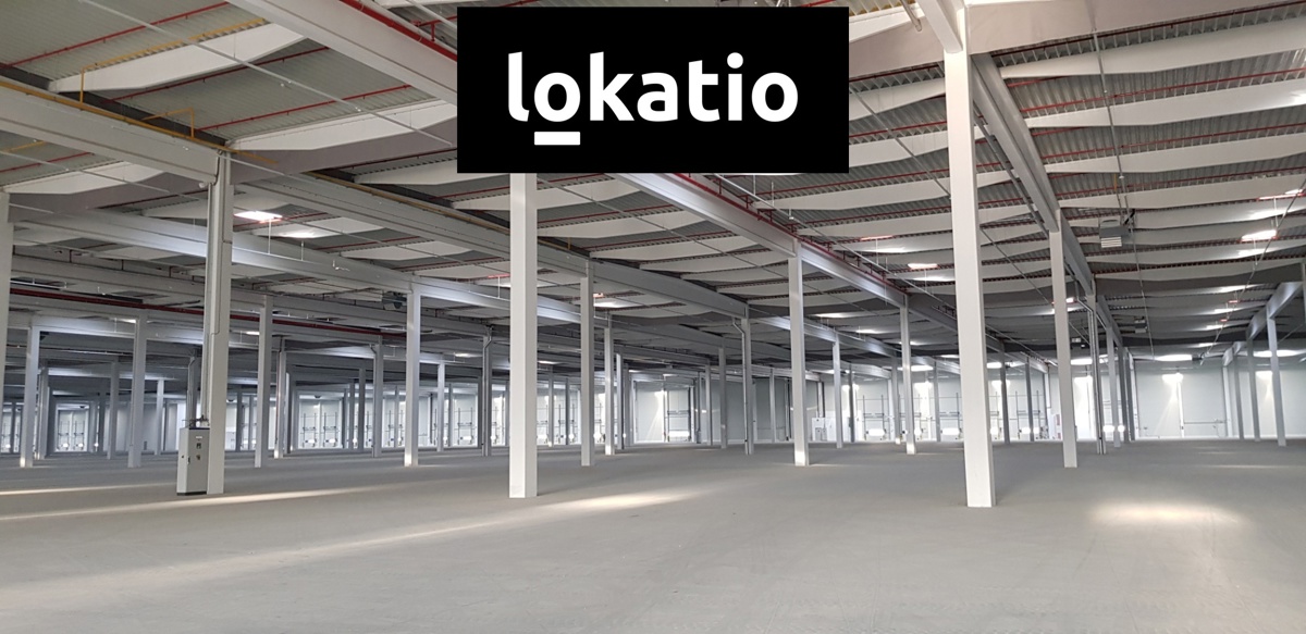 Photo 3 - Commercial property for rent · 6 248 m²