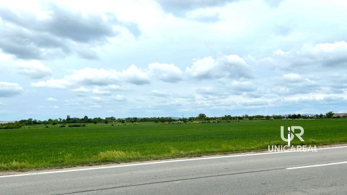 Photo 2 - Land for sale · Field
