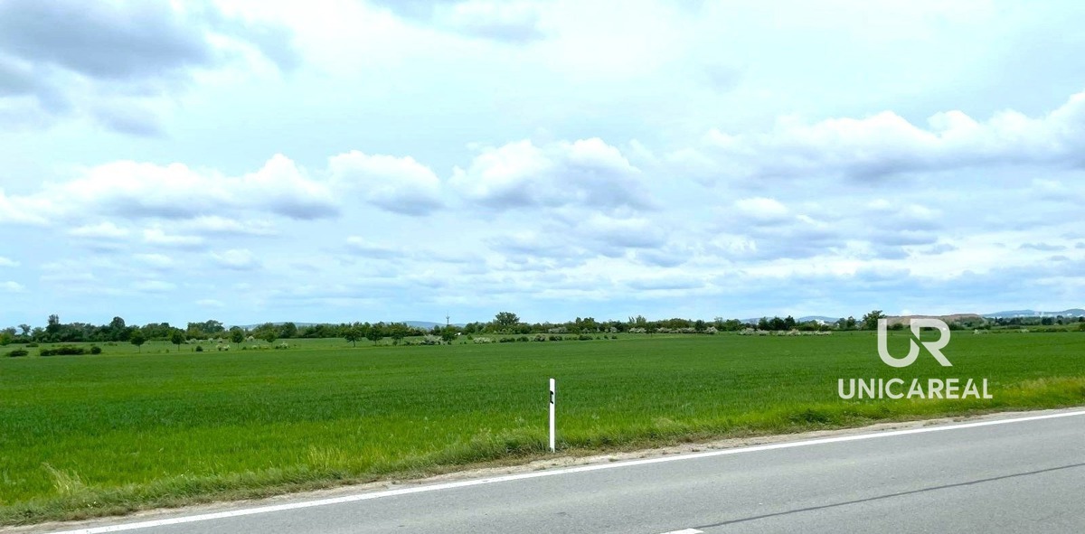 Photo 4 - Land for sale · Field