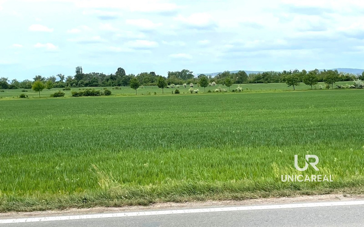 Photo 1 - Land for sale · Field