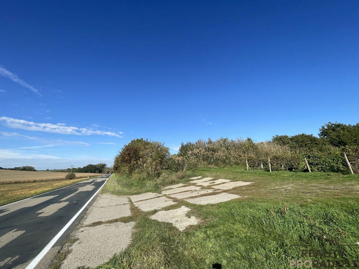 Photo 2 - Land for sale · Vineyard · 11 340 m²